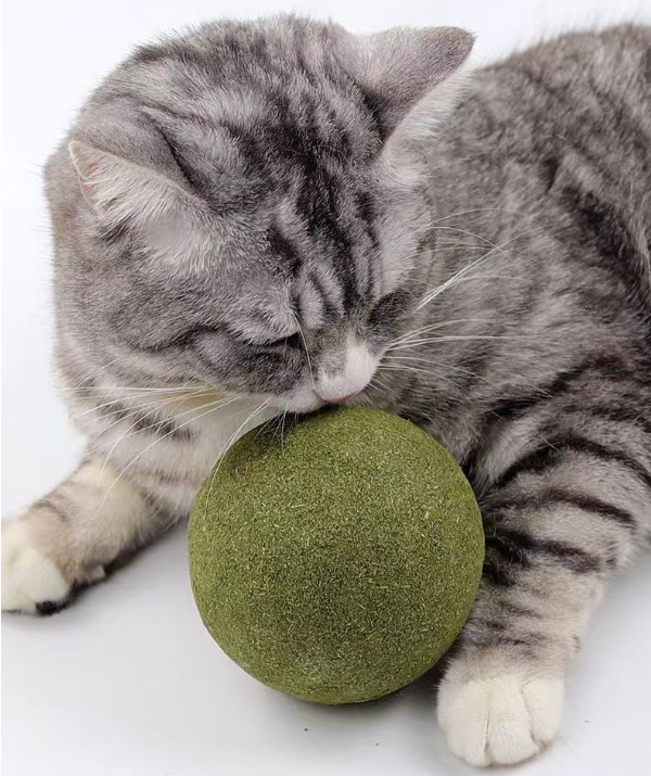 1 x - Catnip Ball for Cat ( 10 cm )
