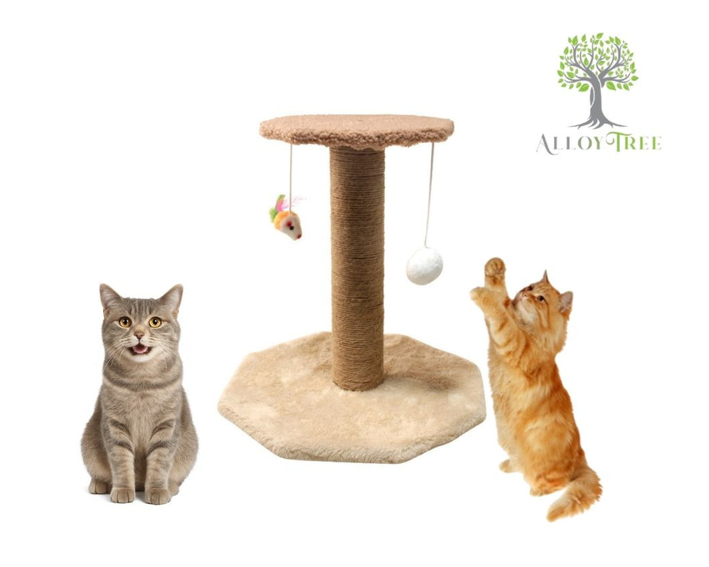 Scratching Post