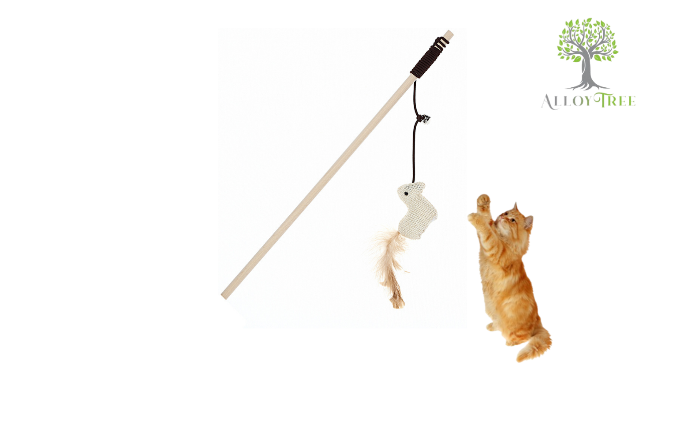 Teaser Wand Toy for Cat