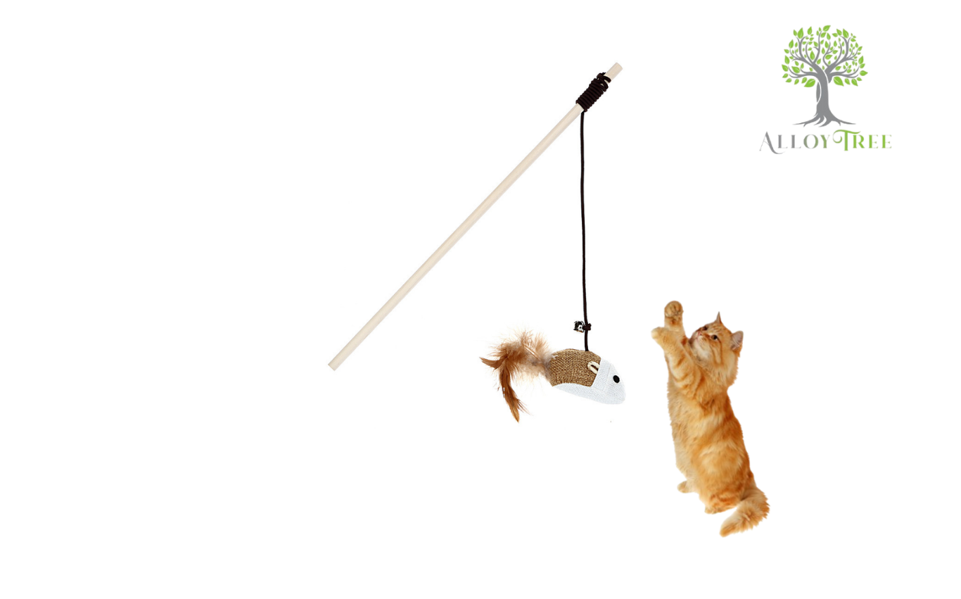 Teaser Wand Toy for Cat