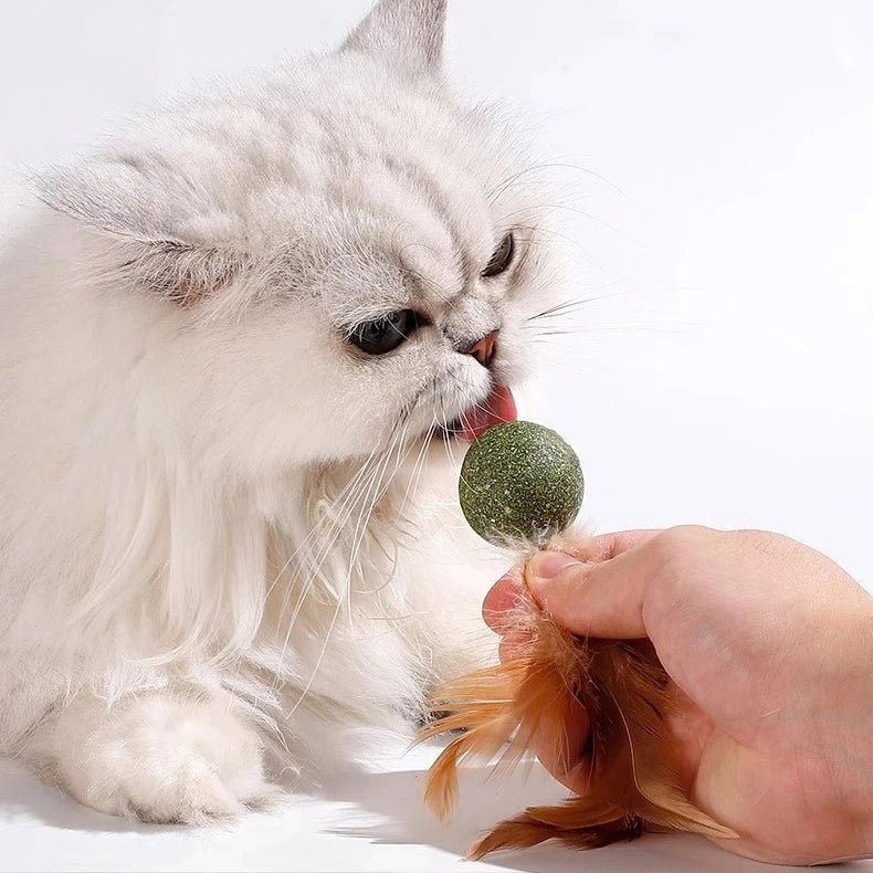 Catnip Ball with Feather Cat Toy 6/12 Pack Natural Catnip Stick Hunting Instinct