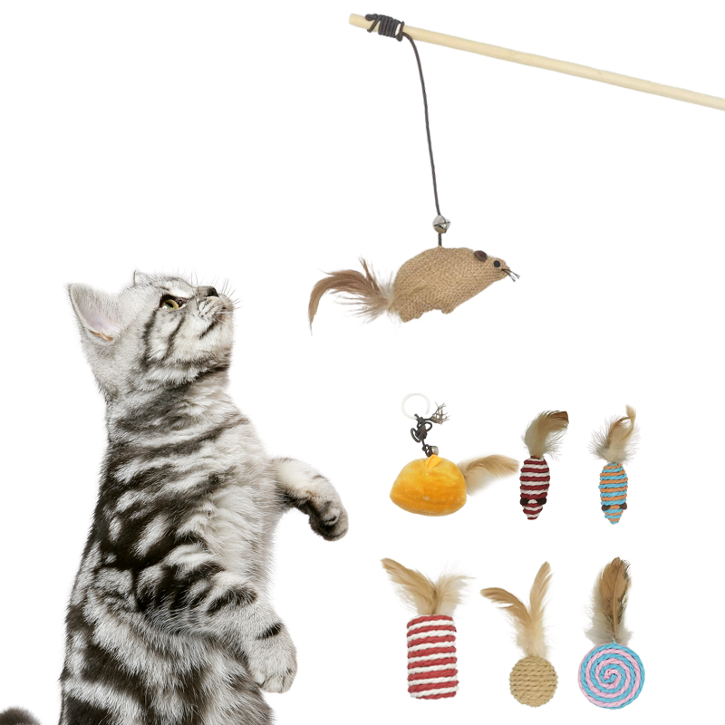 Box with 7 teasers for Cat with Wand