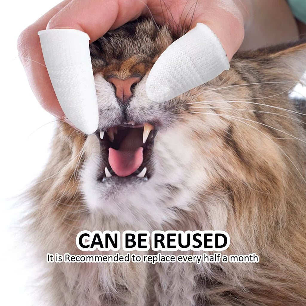 Tooth Brush for Pet