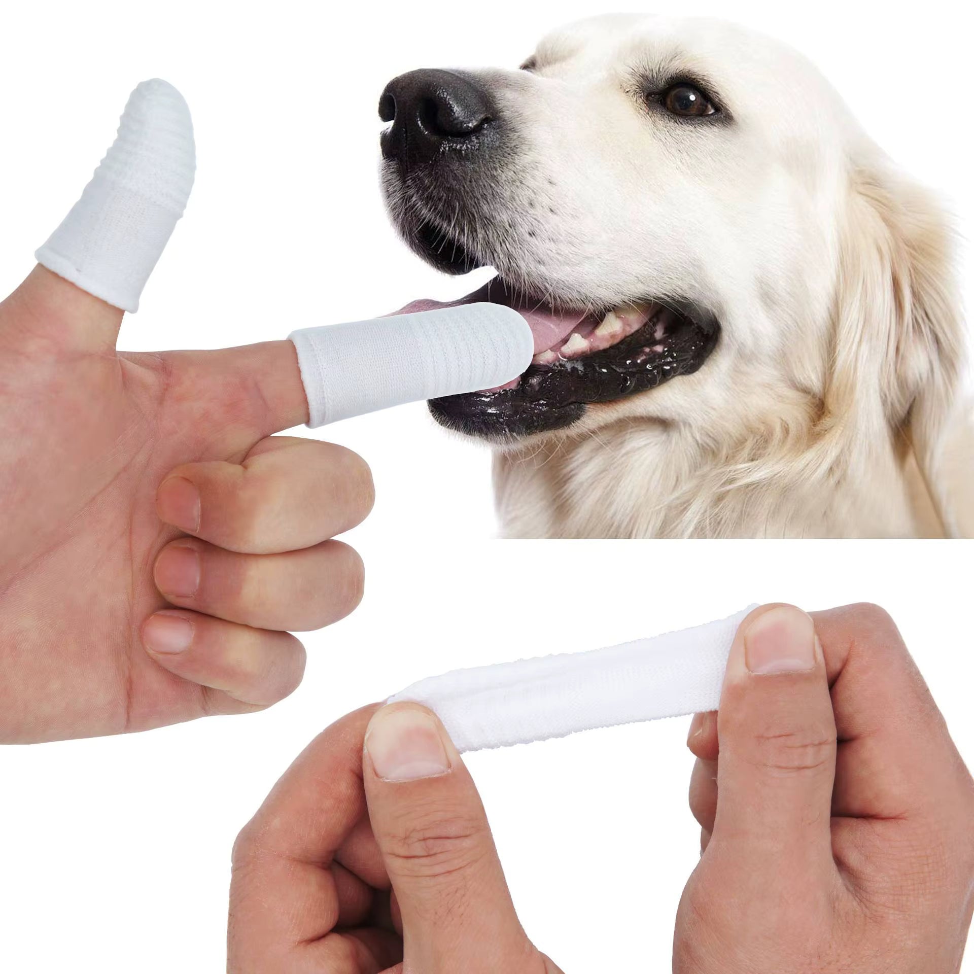 Tooth Brush for Pet