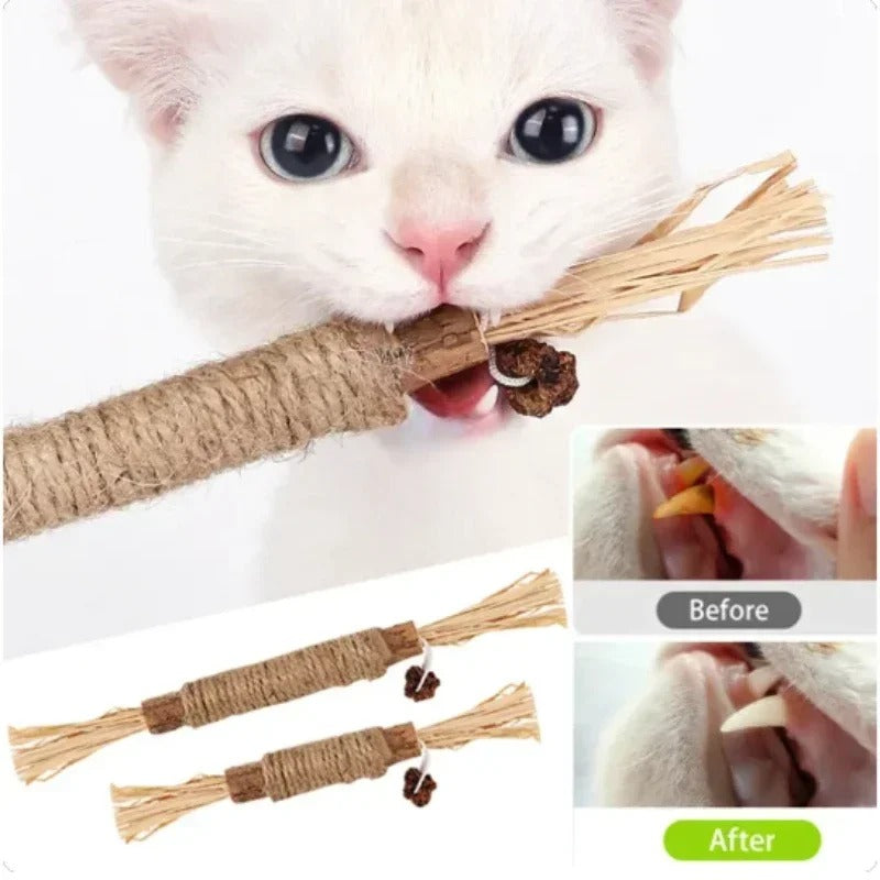 Catnip stick 22 cm 1/3/6 pcs