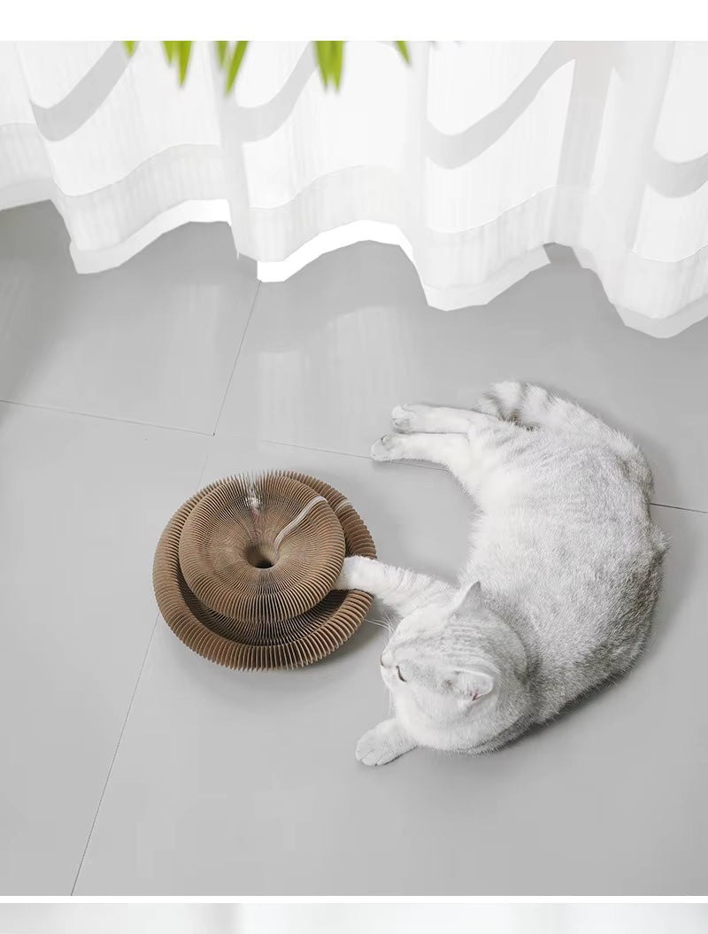 Accordion Magic Organ Cat Scratch Board Scratch Resistant Interactive Cat Toy