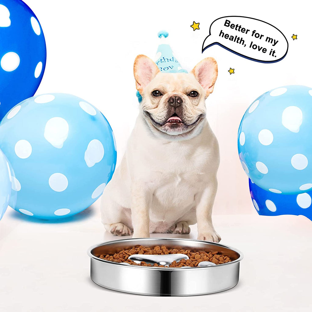 Stainless Steel Slow feeder Bowl for Pet