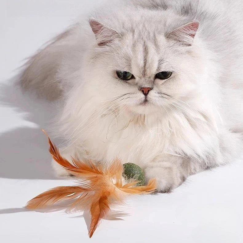 Catnip Ball with Feather Cat Toy 6/12 Pack Natural Catnip Stick Hunting Instinct