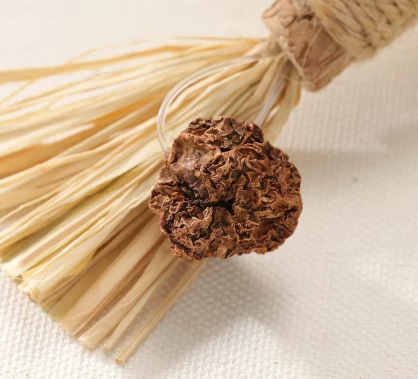Catnip stick 22 cm 1/3/6 pcs