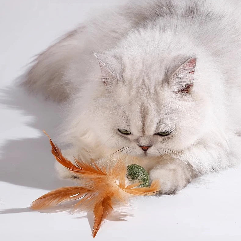 Catnip Ball with Feather Cat Toy 6/12 Pack Natural Catnip Stick Hunting Instinct