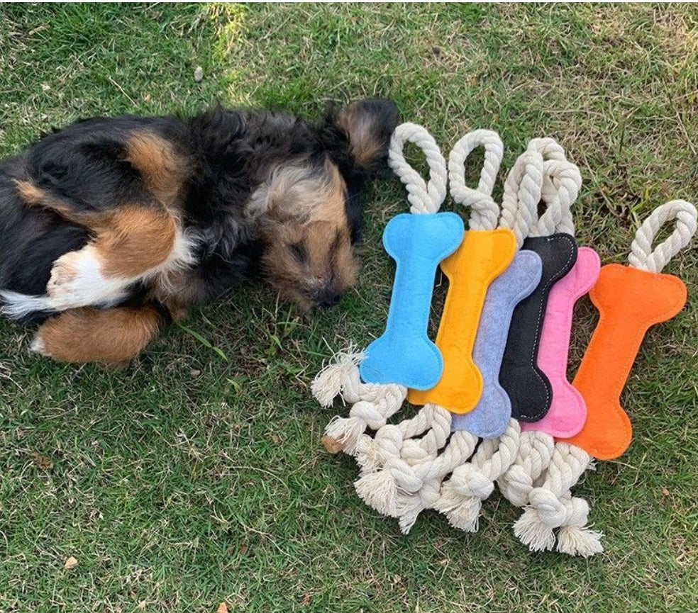 Bone Rope 1/3/6 pcs Knot Dog Toy