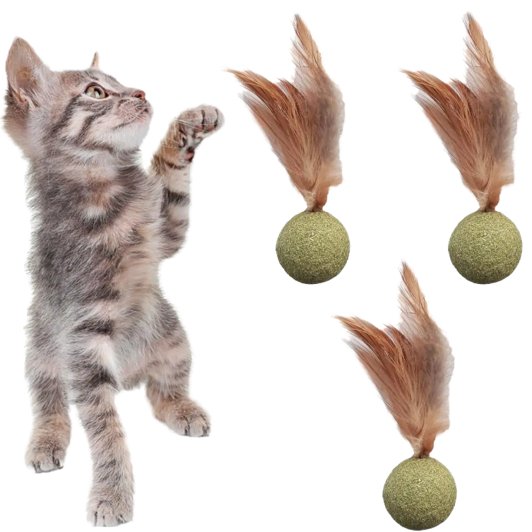 Catnip Ball with Feather Cat Toy 6/12 Pack Natural Catnip Stick Hunting Instinct