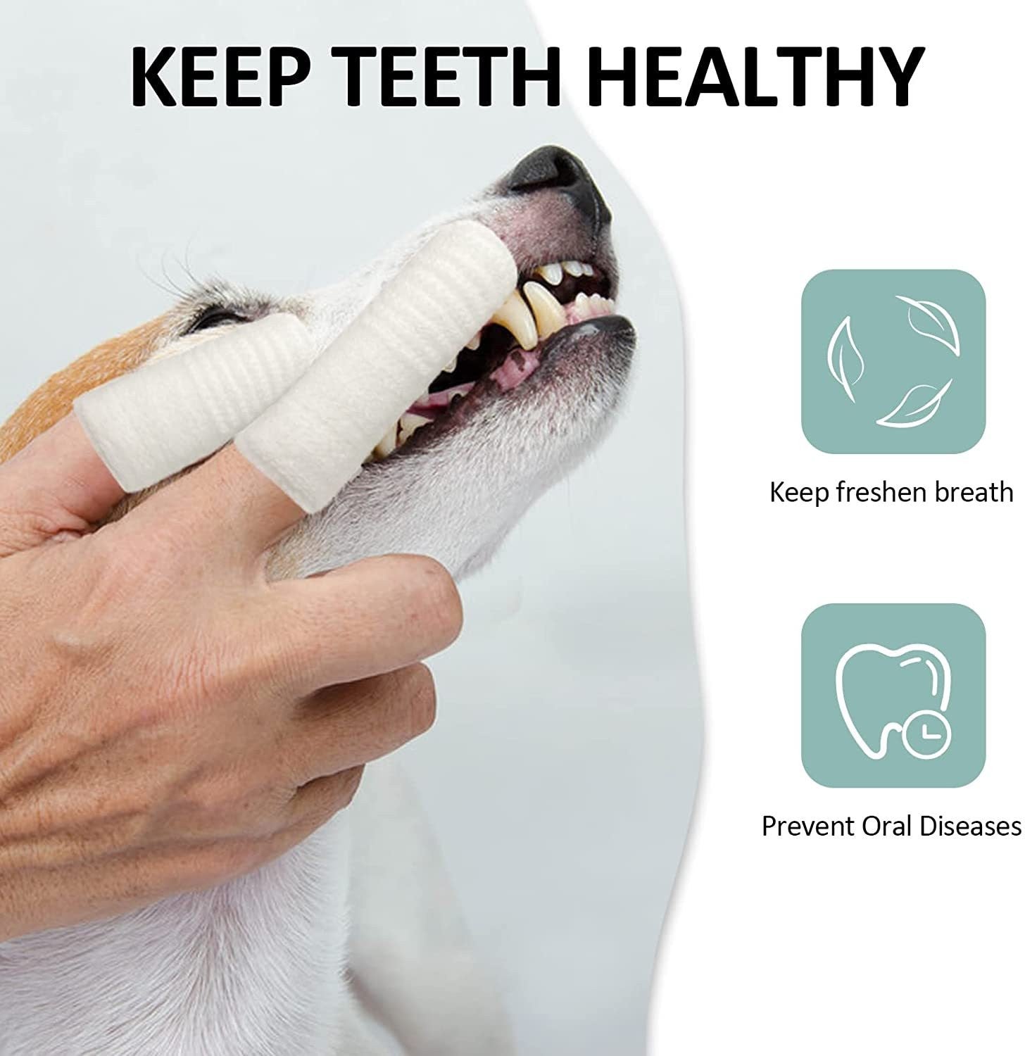 Tooth Brush for Pet
