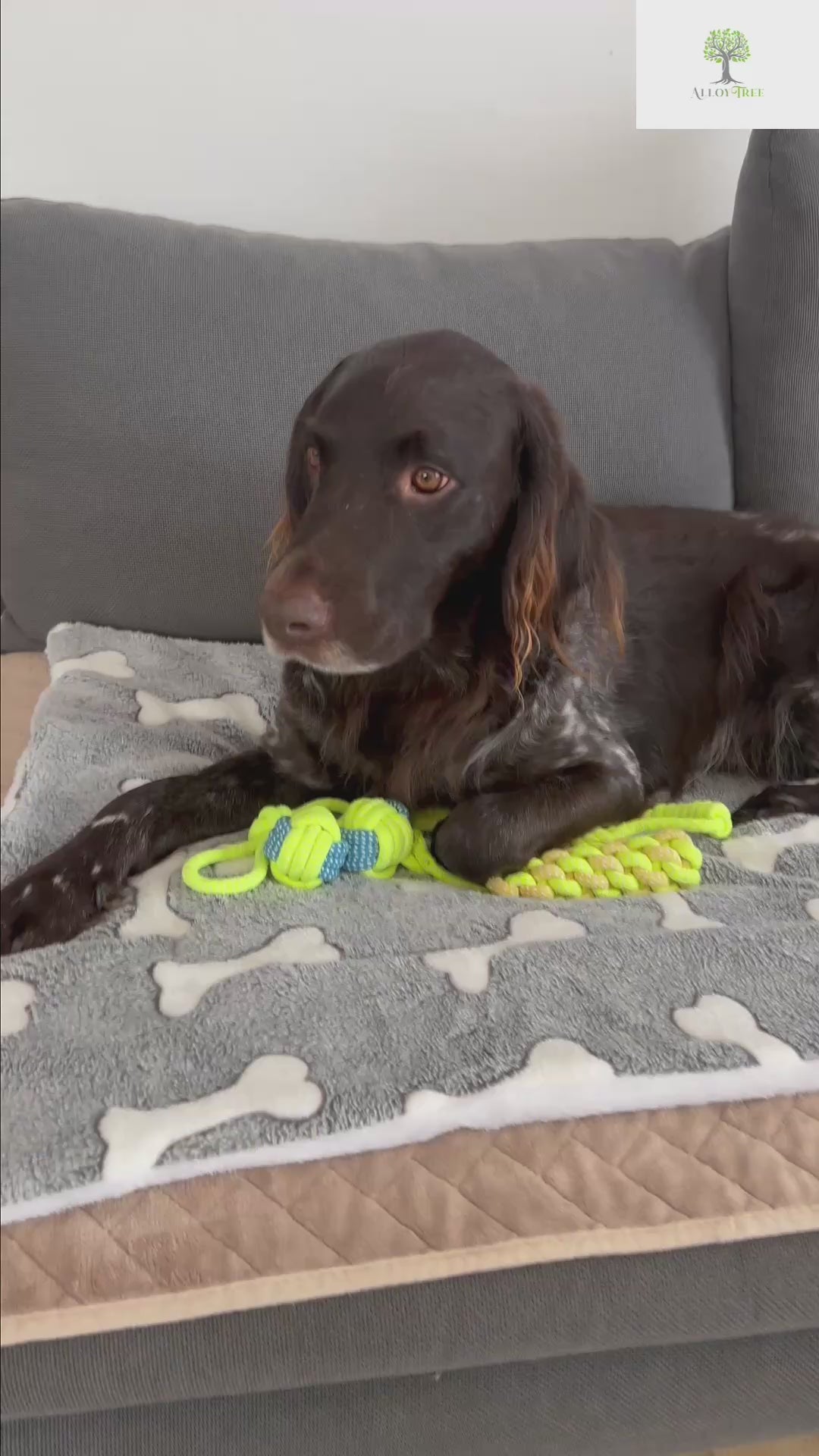 Warm Pet Blanket Pad Cat Dog Bed Soft Fleece Mat