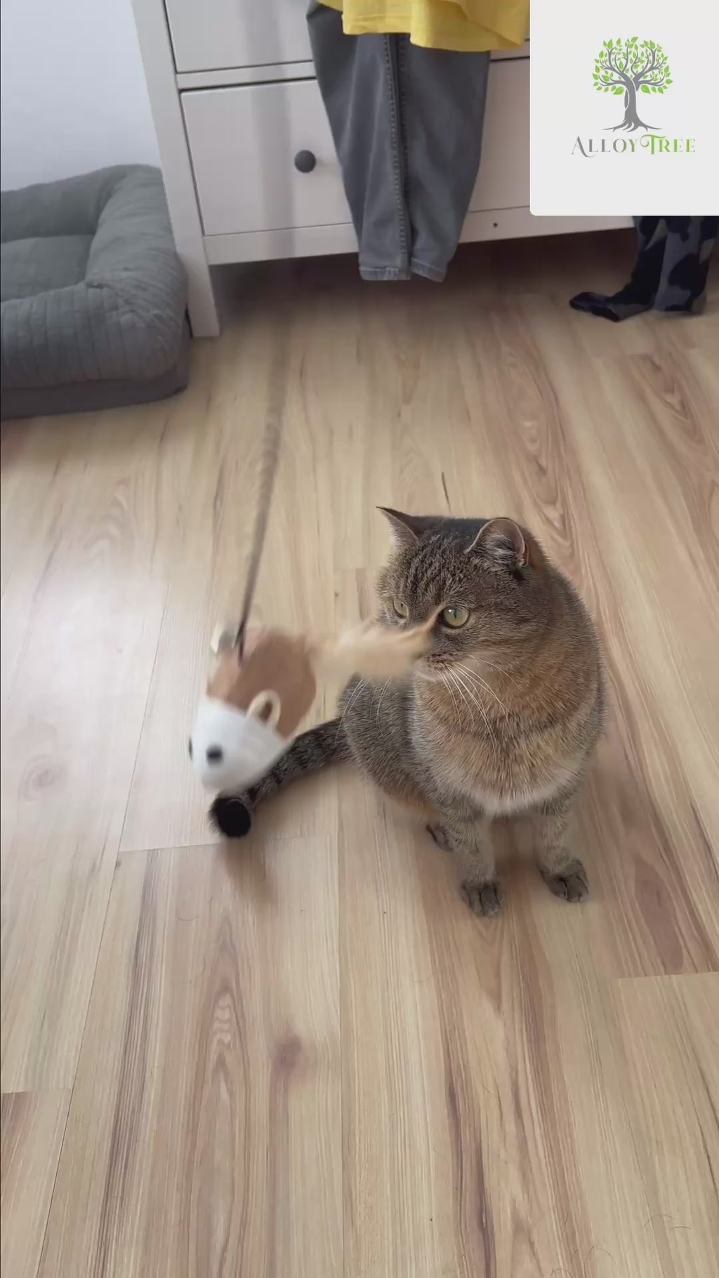 Teaser Wand Toy for Cat