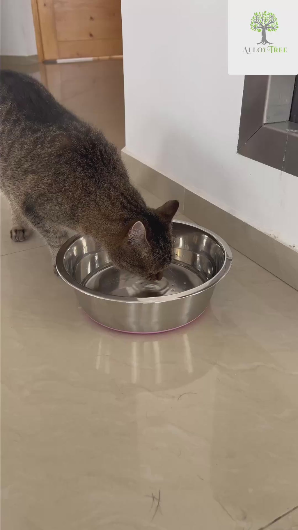 1 or 2 pcs Stainless Steel Dog Bowls Anti Slip Outdoor Indoor Water Food Puppy Feeding Dish