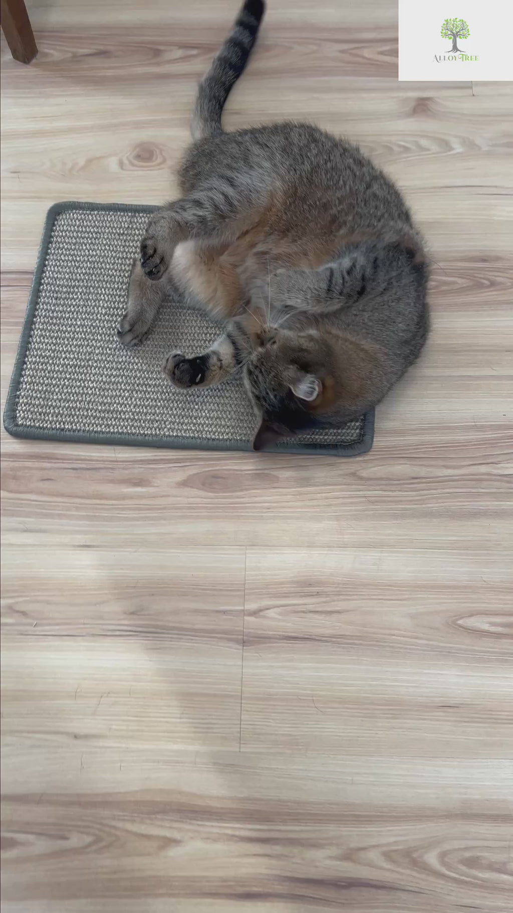 Alloytree Natural Sisal Cat Scratching Mat 2 Sizes