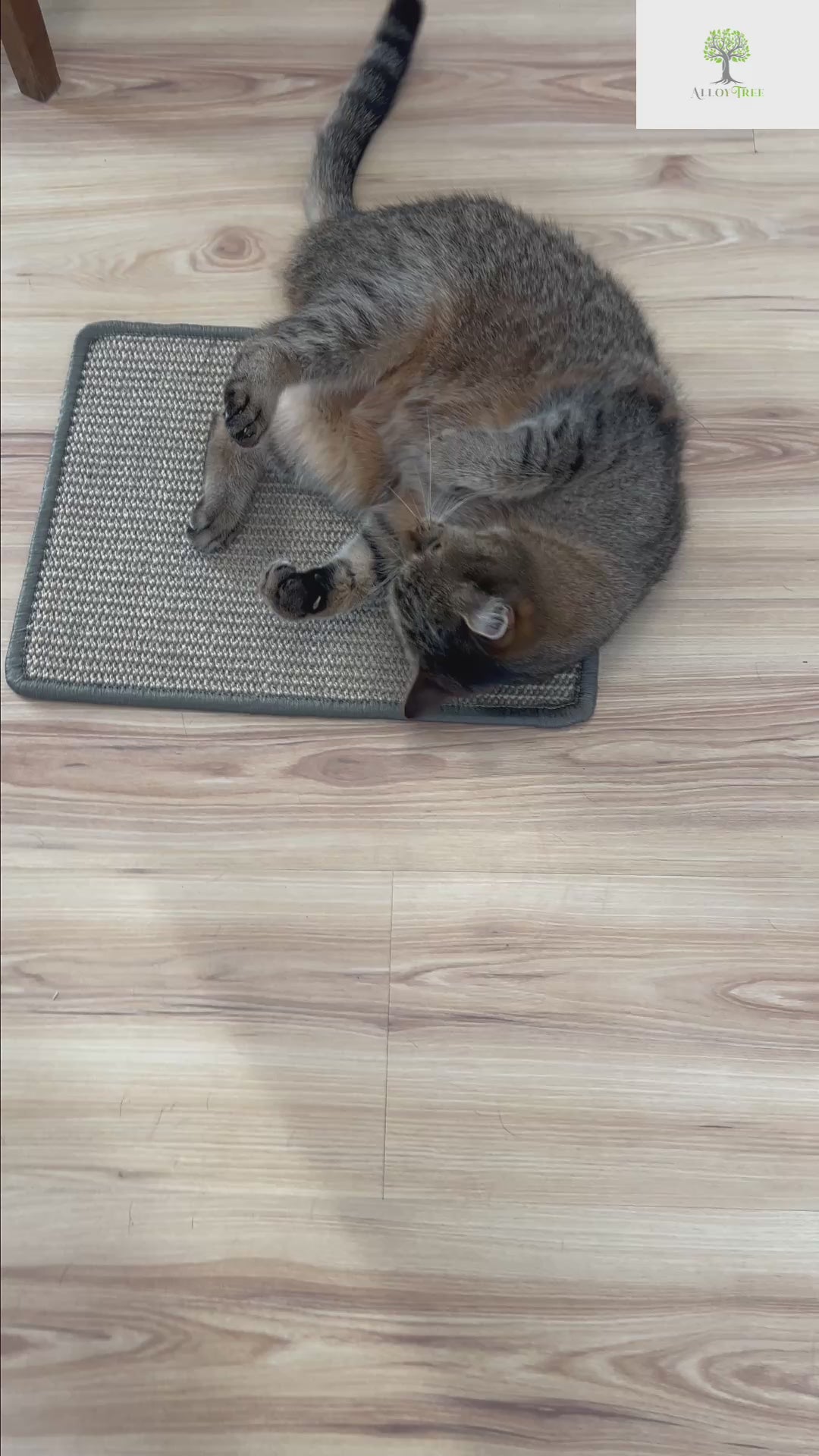 Alloytree Natural Sisal Cat Scratching Mat 2 Sizes