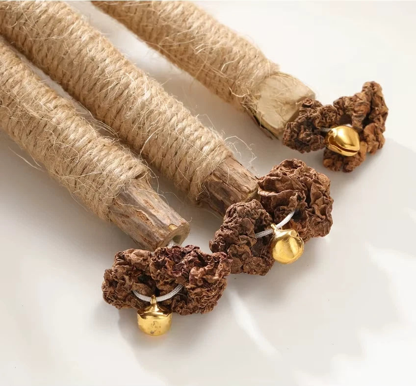 Catnip Stick with Feather 22 cm 1/3/6/9 pcs
